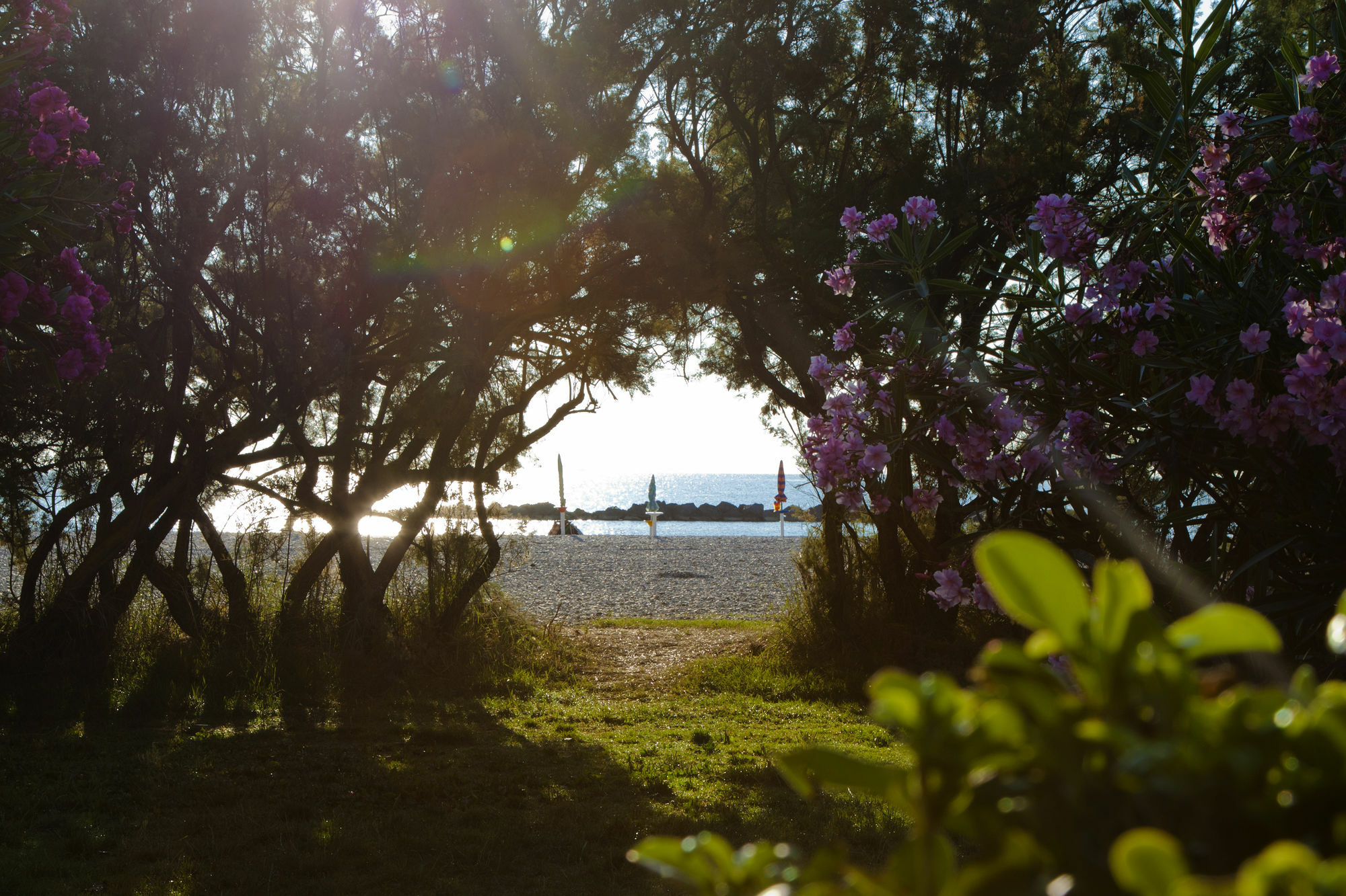 Residence Casabianca Porto San Giorgio Εξωτερικό φωτογραφία